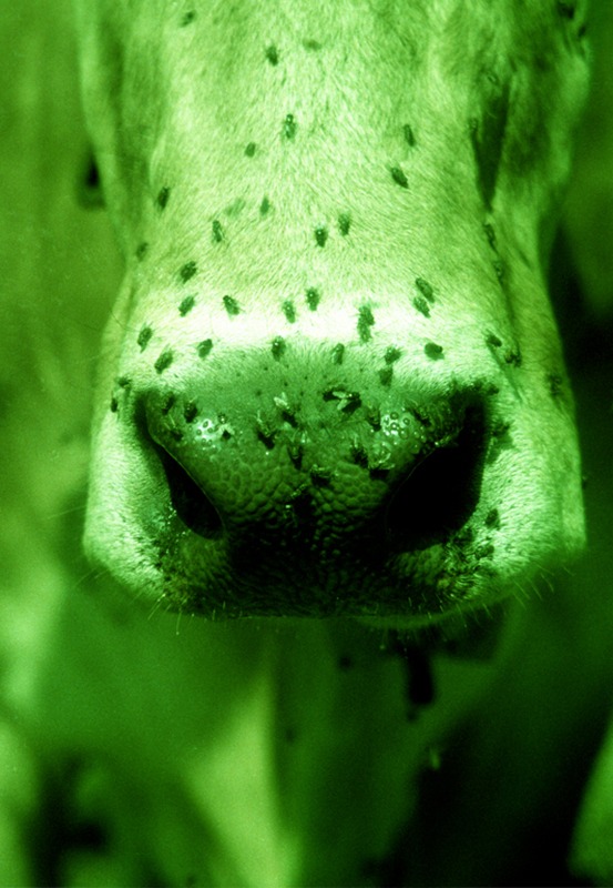 Performance im Gemeindesaal Hittisau