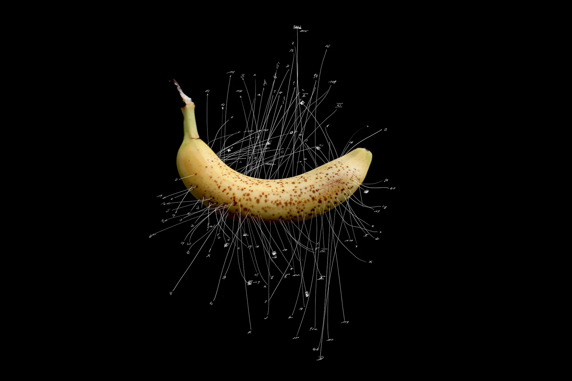 Zeichnung und Realität No 2