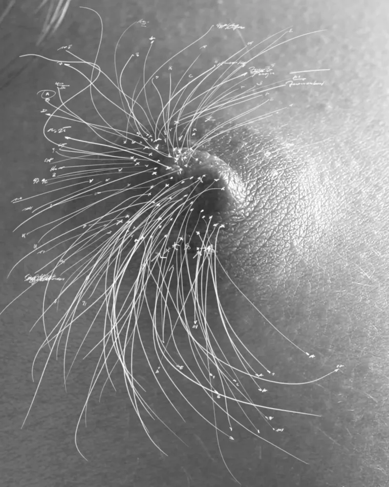 Bezeichnung Nr. 31 - © Harald Schwarz