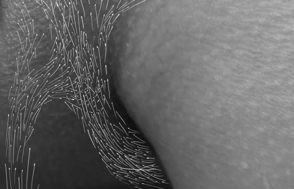 Be-Zeichnung Mensch Nr. 2 - © Harald Schwarz