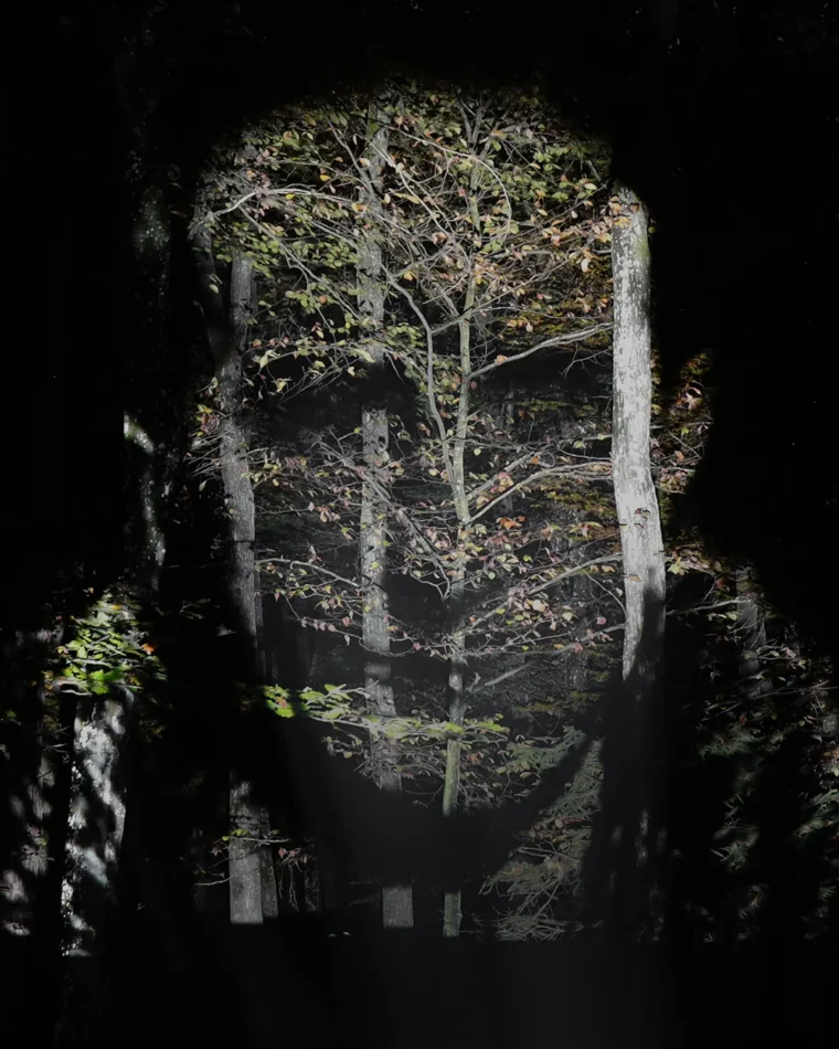 Porträt Marcel Duchamp - Wald und Projektion