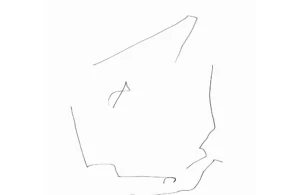 FIXING_COORDINATES 8