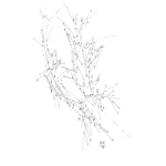FIXING_COORDINATES 2 - künstlerische Verortung von Licht und Schatten - Künstler Harald Schwarz - Burgenland / Österreich