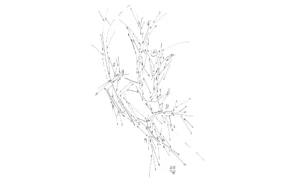 FIXING_COORDINATES 2