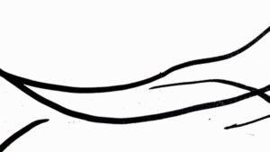 FIXING_COORDINATES 1