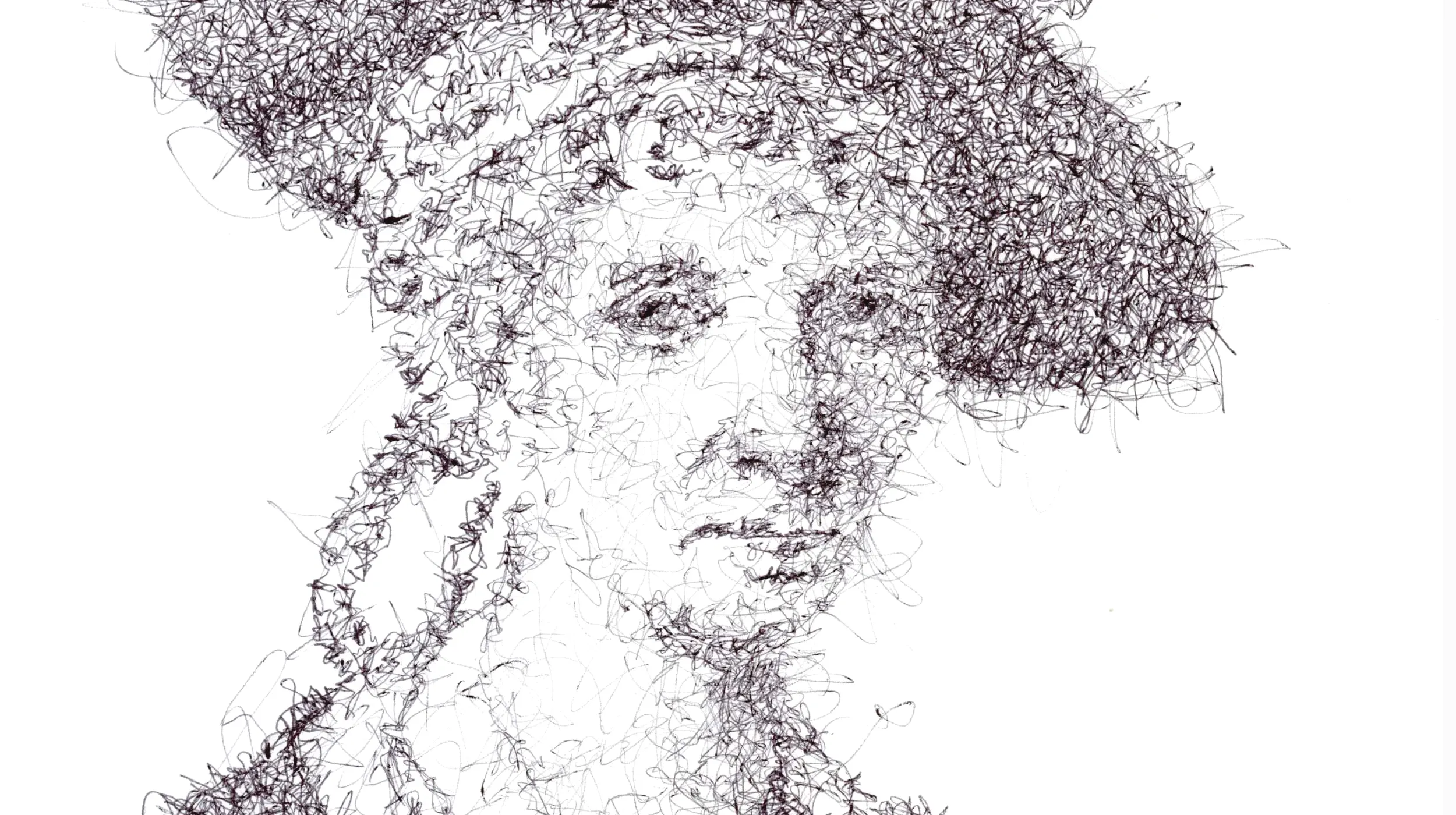 Porträt Angelinka Kauffmann, Grafik Mensch, Keinformat © Harald Schwarz
