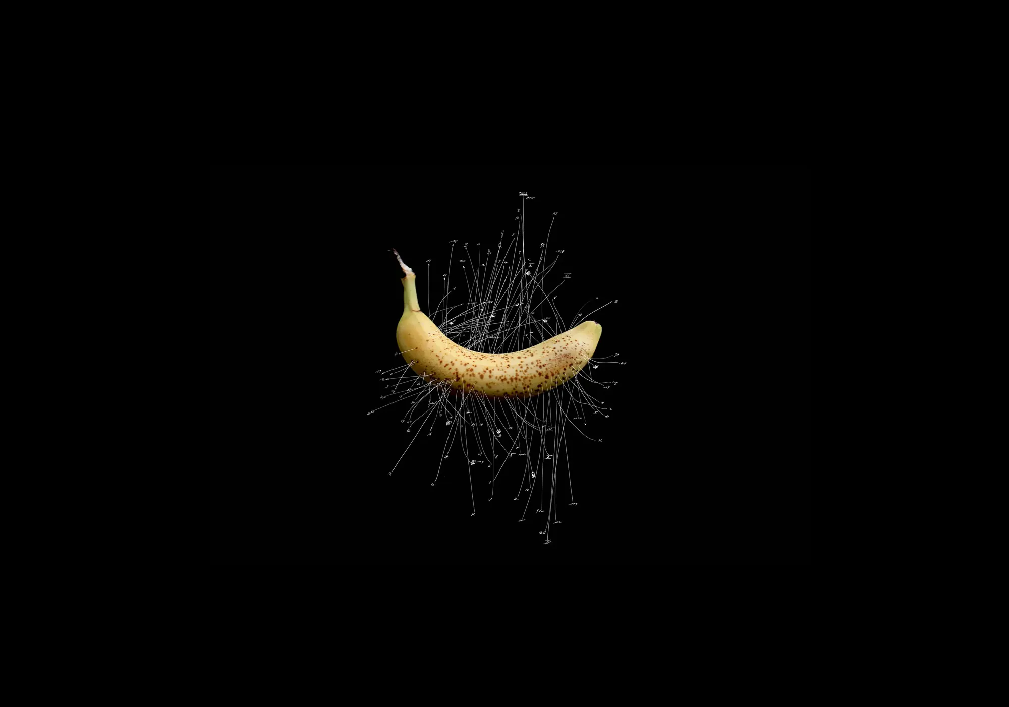 from the serie BE-ZEICHNUNGEN