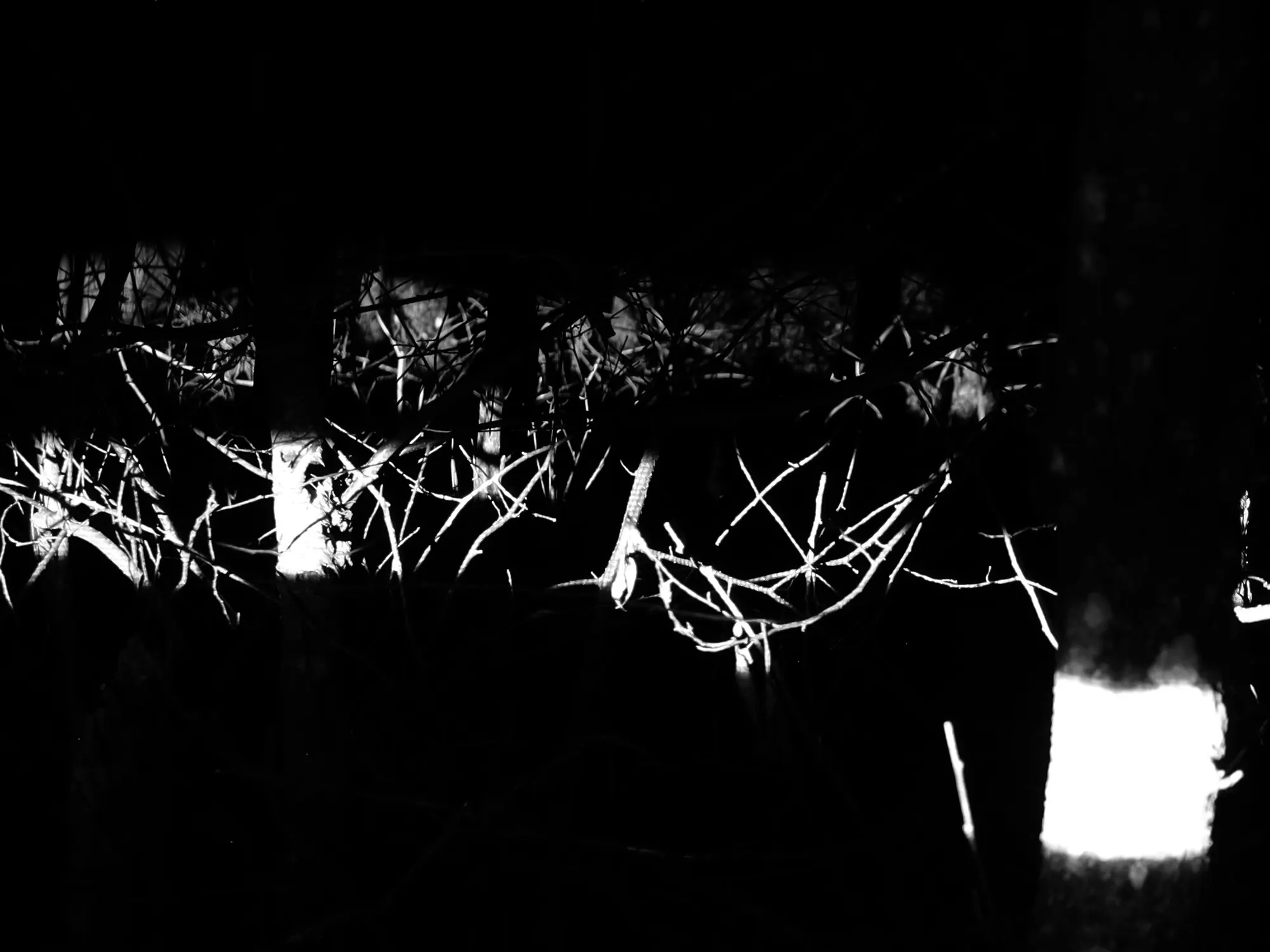 Wald und Licht - Geomapping Serie by Harald Schwarz