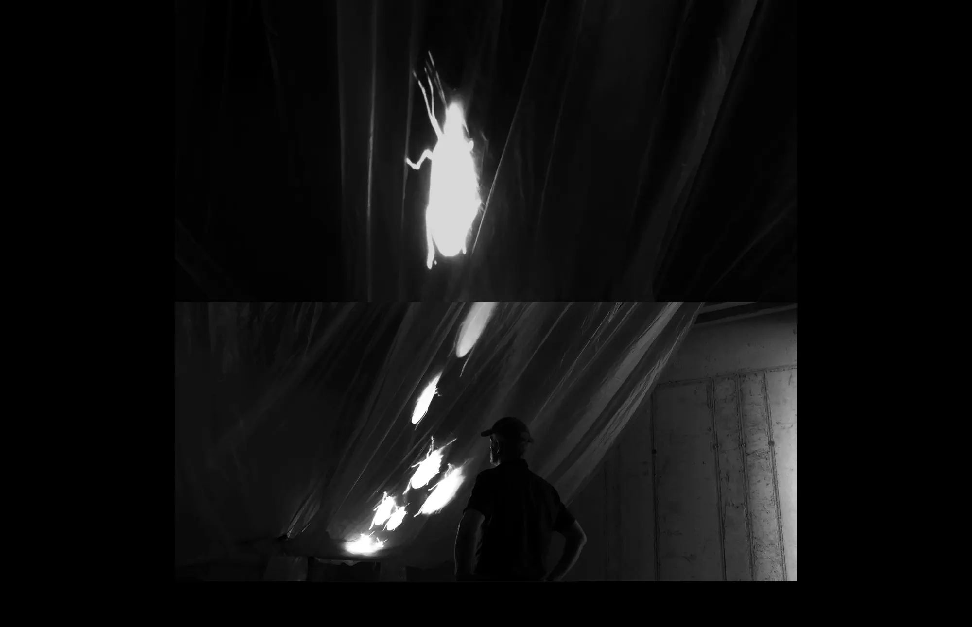 STIMULUS-RESPONSE // Video Installation Kunsthorst