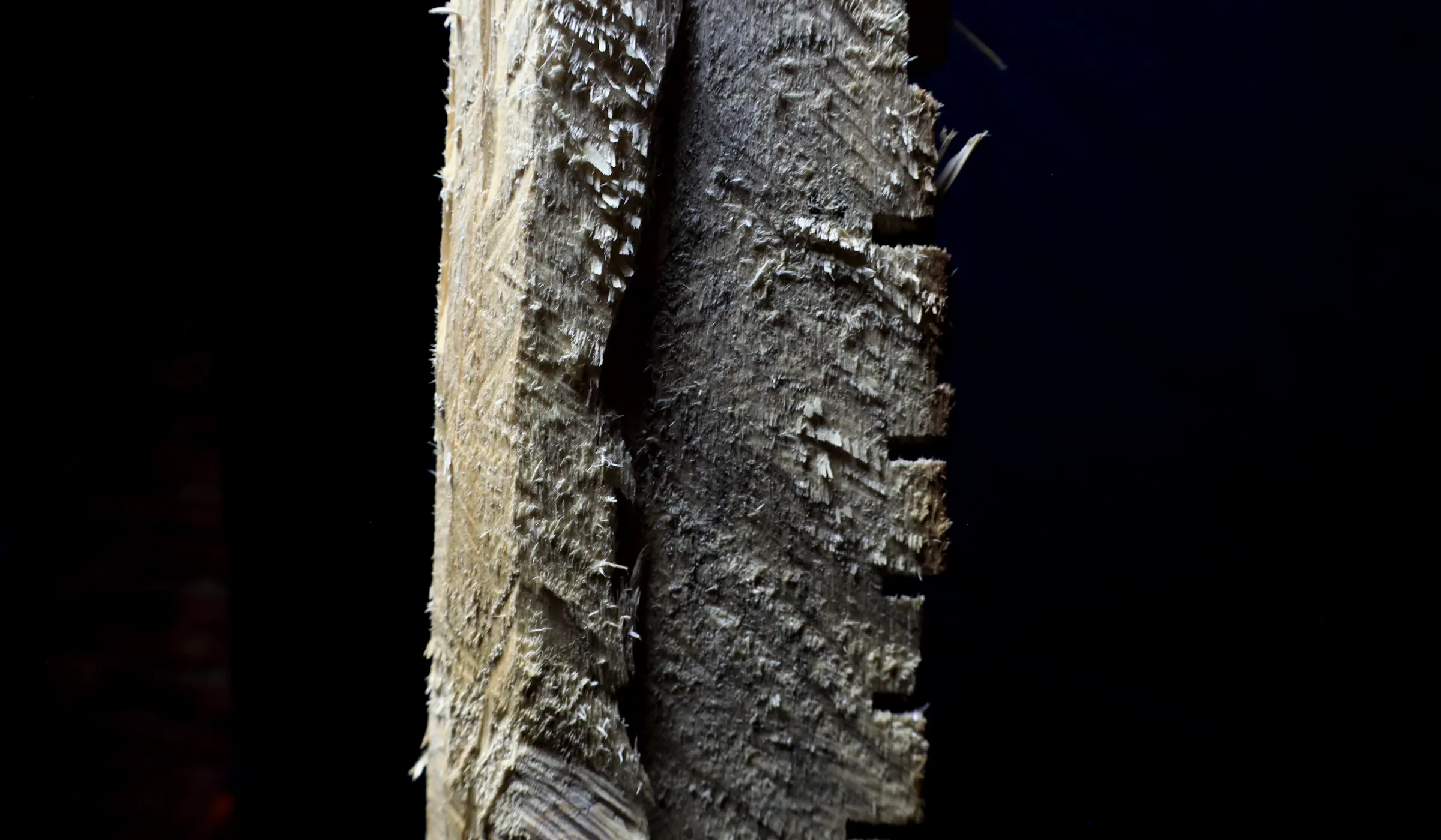 Abschnitt/e - Detail © Harald Schwarz
