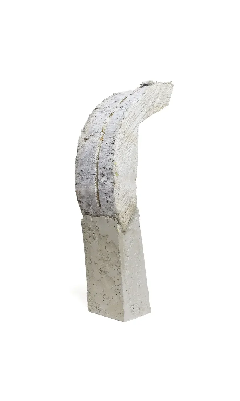 Section Nr 7 // wood and concrete 2