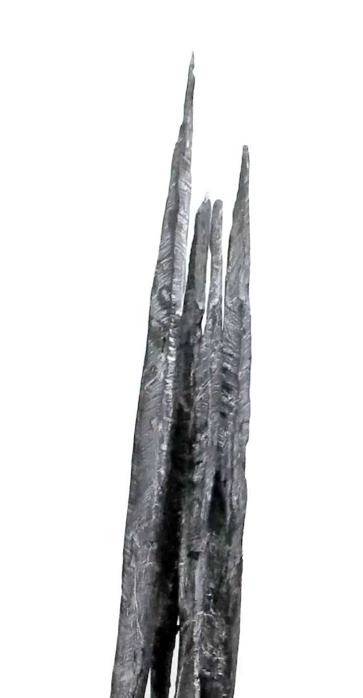 spacial dispositon - wood and Slaked Lime Matrix - detail