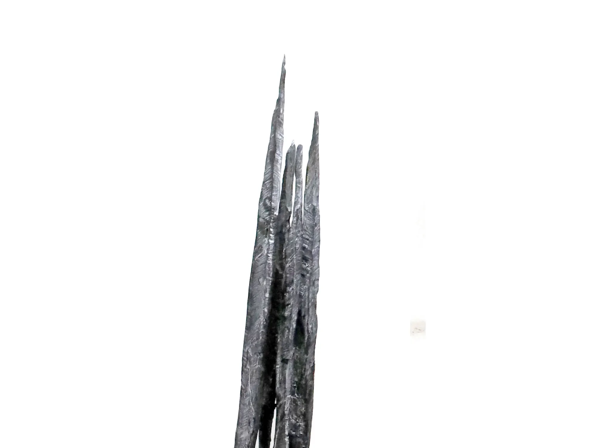 spacial dispositon - wood and Slaked Lime Matrix - detail